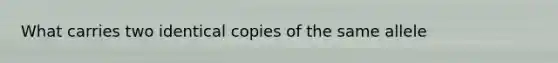 What carries two identical copies of the same allele