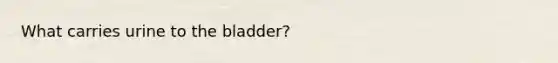 What carries urine to the bladder?