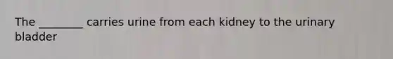 The ________ carries urine from each kidney to the urinary bladder