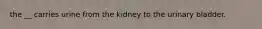 the __ carries urine from the kidney to the urinary bladder.