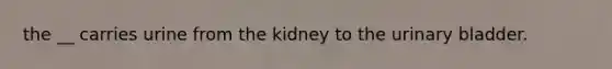 the __ carries urine from the kidney to the urinary bladder.