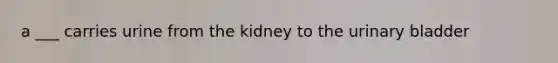 a ___ carries urine from the kidney to the urinary bladder