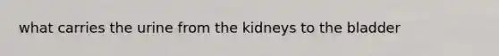 what carries the urine from the kidneys to the bladder