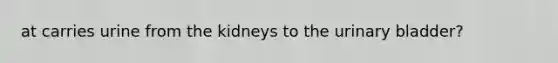 at carries urine from the kidneys to the urinary bladder?