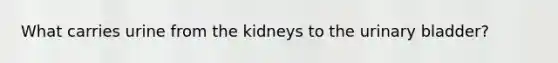 What carries urine from the kidneys to the urinary bladder?