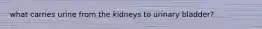 what carries urine from the kidneys to urinary bladder?