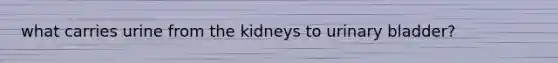 what carries urine from the kidneys to urinary bladder?