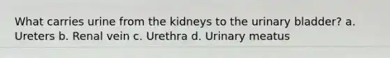 What carries urine from the kidneys to the <a href='https://www.questionai.com/knowledge/kb9SdfFdD9-urinary-bladder' class='anchor-knowledge'>urinary bladder</a>? a. Ureters b. Renal vein c. Urethra d. Urinary meatus