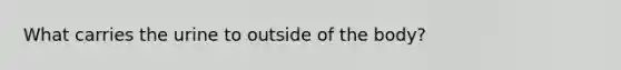 What carries the urine to outside of the body?