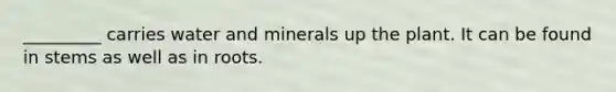 _________ carries water and minerals up the plant. It can be found in stems as well as in roots.