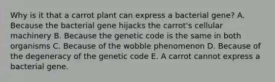 Why is it that a carrot plant can express a bacterial gene? A. Because the bacterial gene hijacks the carrot's cellular machinery B. Because the genetic code is the same in both organisms C. Because of the wobble phenomenon D. Because of the degeneracy of the genetic code E. A carrot cannot express a bacterial gene.