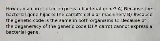 How can a carrot plant express a bacterial gene? A) Because the bacterial gene hijacks the carrot's cellular machinery B) Because the genetic code is the same in both organisms C) Because of the degeneracy of the genetic code D) A carrot cannot express a bacterial gene.