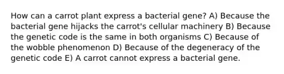 How can a carrot plant express a bacterial gene? A) Because the bacterial gene hijacks the carrot's cellular machinery B) Because the genetic code is the same in both organisms C) Because of the wobble phenomenon D) Because of the degeneracy of the genetic code E) A carrot cannot express a bacterial gene.