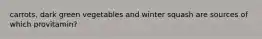 carrots, dark green vegetables and winter squash are sources of which provitamin?