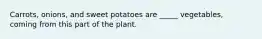 Carrots, onions, and sweet potatoes are _____ vegetables, coming from this part of the plant.