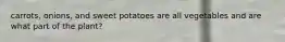 carrots, onions, and sweet potatoes are all vegetables and are what part of the plant?
