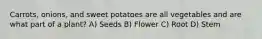 Carrots, onions, and sweet potatoes are all vegetables and are what part of a plant? A) Seeds B) Flower C) Root D) Stem