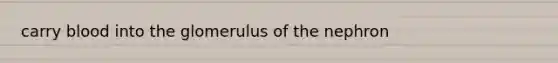 carry blood into the glomerulus of the nephron