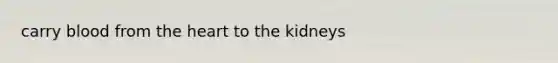 carry blood from <a href='https://www.questionai.com/knowledge/kya8ocqc6o-the-heart' class='anchor-knowledge'>the heart</a> to the kidneys