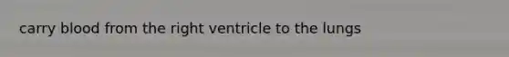carry blood from the right ventricle to the lungs