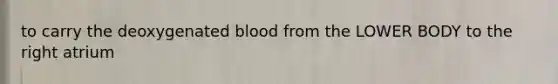 to carry the deoxygenated blood from the LOWER BODY to the right atrium