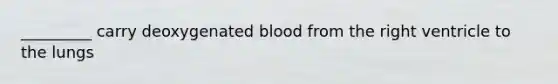 _________ carry deoxygenated blood from the right ventricle to the lungs