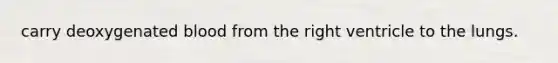 carry deoxygenated blood from the right ventricle to the lungs.
