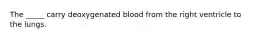 The _____ carry deoxygenated blood from the right ventricle to the lungs.