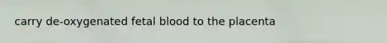 carry de-oxygenated fetal blood to the placenta