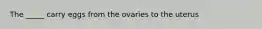 The _____ carry eggs from the ovaries to the uterus
