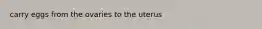 carry eggs from the ovaries to the uterus