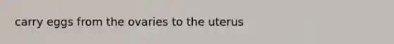 carry eggs from the ovaries to the uterus