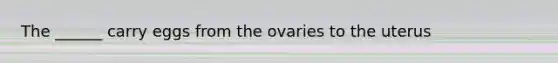 The ______ carry eggs from the ovaries to the uterus