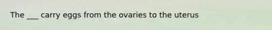 The ___ carry eggs from the ovaries to the uterus