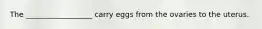 The __________________ carry eggs from the ovaries to the uterus.