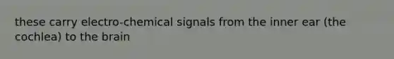 these carry electro-chemical signals from the inner ear (the cochlea) to the brain