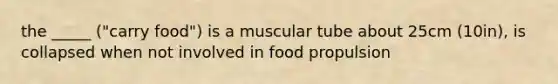 the _____ ("carry food") is a muscular tube about 25cm (10in), is collapsed when not involved in food propulsion