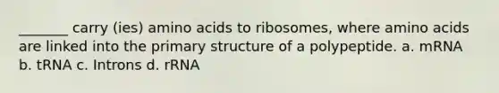 _______ carry (ies) <a href='https://www.questionai.com/knowledge/k9gb720LCl-amino-acids' class='anchor-knowledge'>amino acids</a> to ribosomes, where amino acids are linked into the <a href='https://www.questionai.com/knowledge/knHR7ecP3u-primary-structure' class='anchor-knowledge'>primary structure</a> of a polypeptide. a. mRNA b. tRNA c. Introns d. rRNA