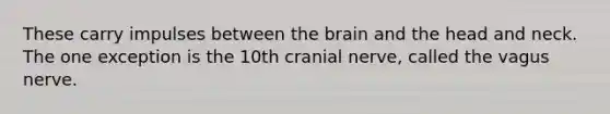 These carry impulses between the brain and the head and neck. The one exception is the 10th cranial nerve, called the vagus nerve.