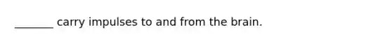 _______ carry impulses to and from the brain.