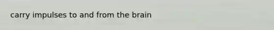 carry impulses to and from the brain