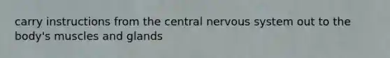 carry instructions from the <a href='https://www.questionai.com/knowledge/kMmgwYXzPv-central-nervous-system' class='anchor-knowledge'>central nervous system</a> out to the body's muscles and glands