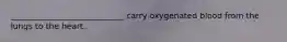 ____________________________ carry oxygenated blood from the lungs to the heart.