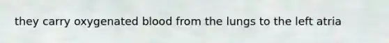 they carry oxygenated blood from the lungs to the left atria