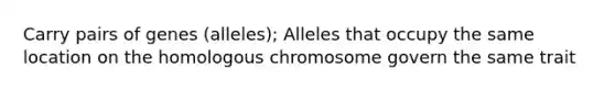 Carry pairs of genes (alleles); Alleles that occupy the same location on the homologous chromosome govern the same trait