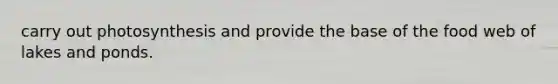 carry out photosynthesis and provide the base of the food web of lakes and ponds.