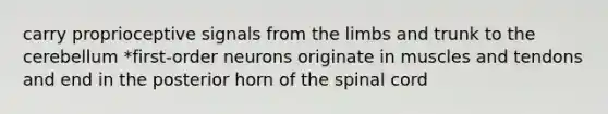 carry proprioceptive signals from the limbs and trunk to the cerebellum *first-order neurons originate in muscles and tendons and end in the posterior horn of the spinal cord