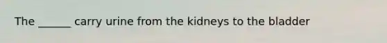 The ______ carry urine from the kidneys to the bladder