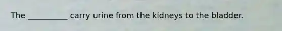 The __________ carry urine from the kidneys to the bladder.