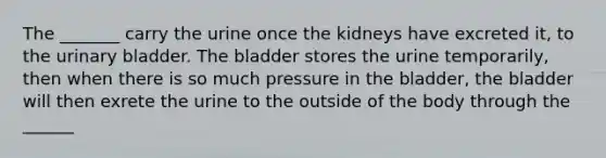 The _______ carry the urine once the kidneys have excreted it, to the urinary bladder. The bladder stores the urine temporarily, then when there is so much pressure in the bladder, the bladder will then exrete the urine to the outside of the body through the ______